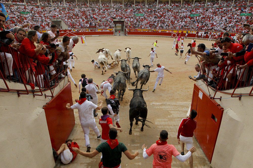 Bulls trample spain AP.jpeg